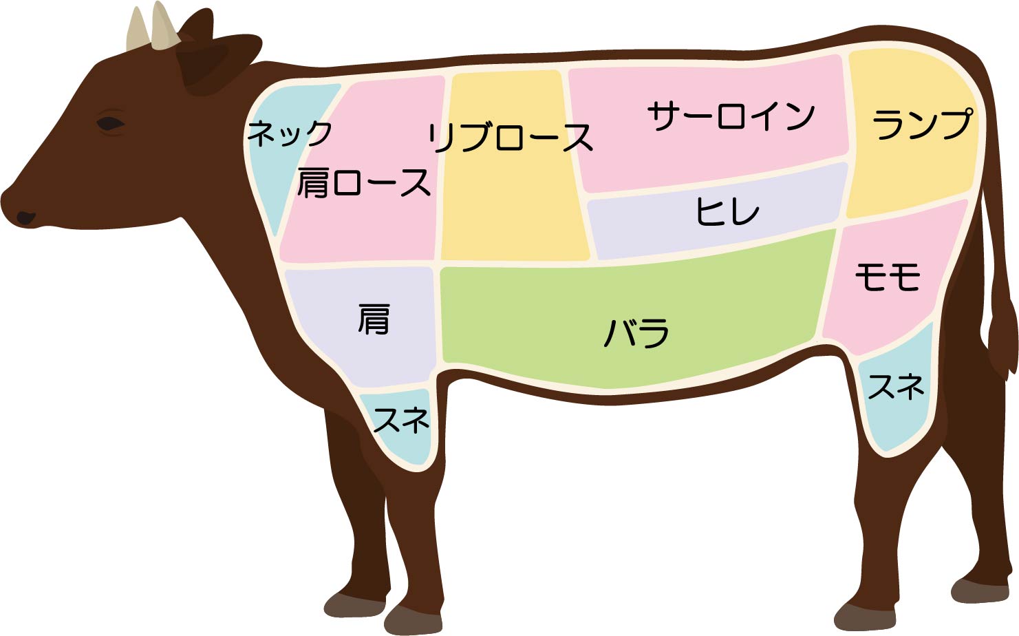 牛肉の部位を知る①部分肉の基本 | 肉処とよた